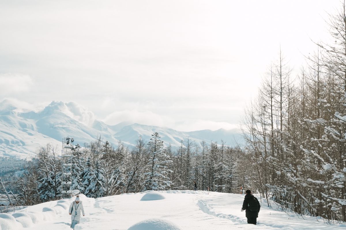 北海道冬季雪景